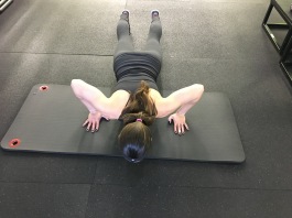 pushup position 2
